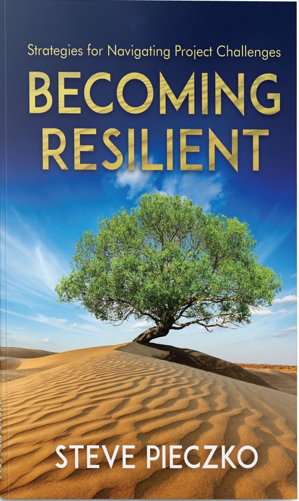 Becoming Resilient: Strategies for Navigating Project Challenges by Steve Pieczko